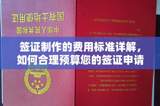 丰原签证制作的费用标准详解，如何合理预算您的签证申请成本